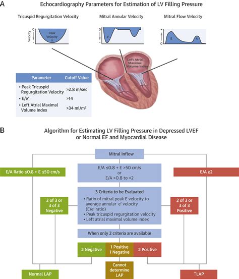 lv due|Left Ventricle Diastolic Dysfunction and Prognosis.